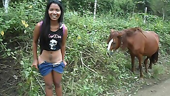 Joven adolescente americana disfruta de mujeres y caballos meando en video HD